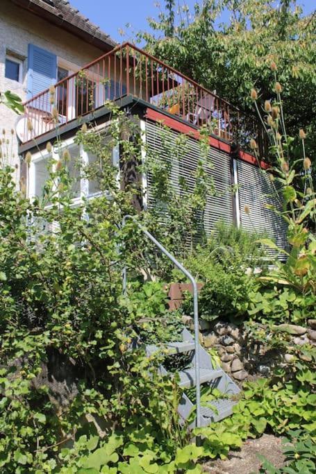 Erholung Mit Seesicht, Terrasse Und Garten Юберлинген Екстериор снимка