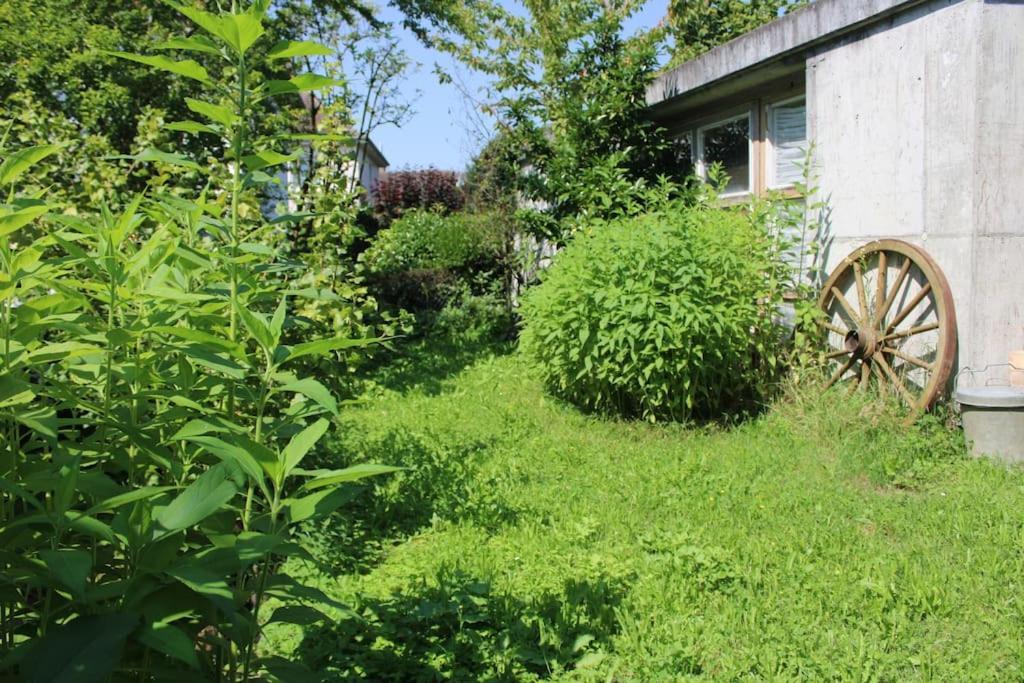 Erholung Mit Seesicht, Terrasse Und Garten Юберлинген Екстериор снимка
